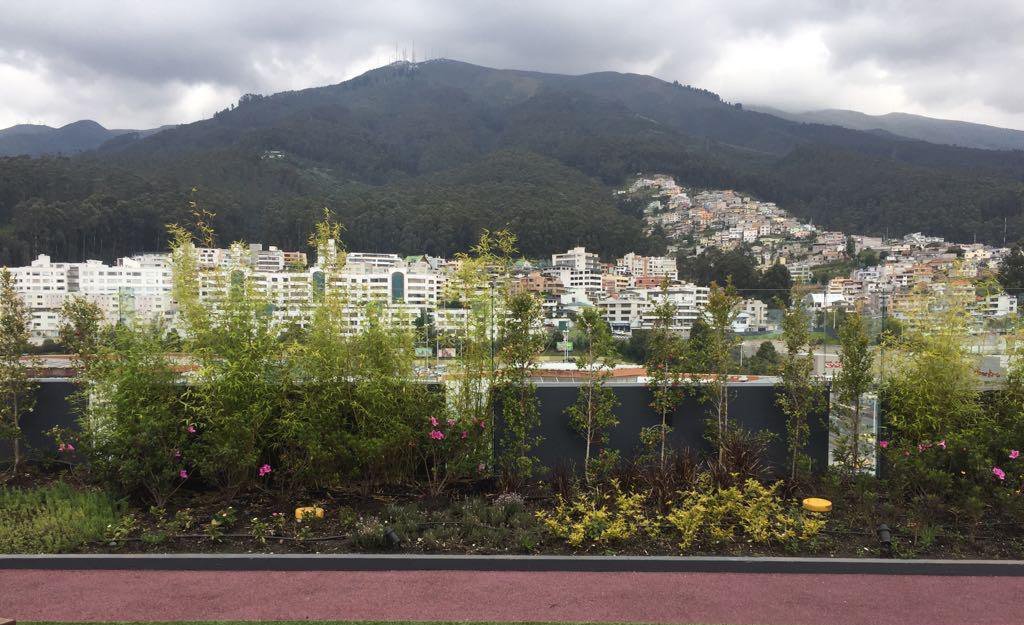 sector el bosque